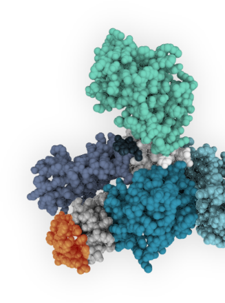 Spear Bio Cell
