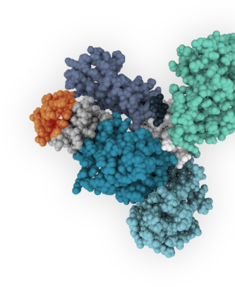 Spear Bio | SPEAR Immunoassays for Infectious Disease